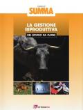 La gestione riproduttiva nel bovino da carne