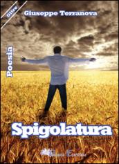 Spigolatura