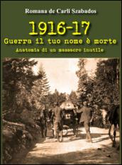 1916-17 guerra il tuo nome è morte. Anatomia di un massacro inutile