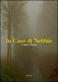 In caso di nebbia