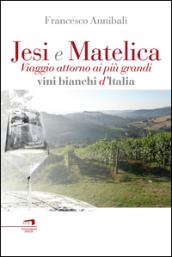 Il Verdicchio fra Jesi e Matelica. Alla scoperta di uno dei più grandi vini bianchi d'Italia