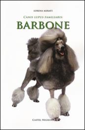 Barbone