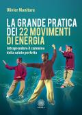 La grande pratica dei 22 movimenti di energia. Intraprendere il cammino della salute perfetta