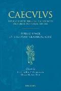 Public Space in the Post-Classical City: Proceedings of a One Day Colloquium Held at Fransum, 23rd July 2007
