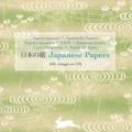 Japanese papers. Ediz. multilingue. Con CD-ROM