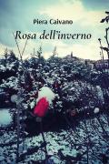 Rosa dell'inverno