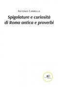 Spigolature e curiosità di Roma antica e proverbi