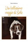 Un bellissimo raggio di sole