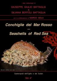 Conchiglie del Mar Rosso-Red Sea's seashelles. Ediz. bilingue