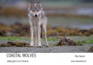 Coastal wolves. Sette giorni con il branco