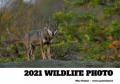 2021 wildlife photo
