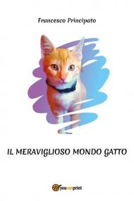 Il meraviglioso mondo gatto