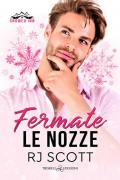 Fermate le nozze. Snowed inn