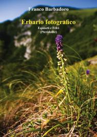 Erbario fotografico. Equiseti e felci