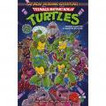 Saturday morning adventures. Teenage mutant ninja turtles. Vol. 1: Grosso guaio per il maestro splinter