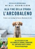 Alla fine della strada l'arcobaleno. Come i cani randagi mi hanno illuminato la vita