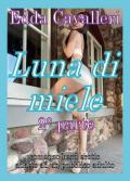 Luna di miele. Vol. 2