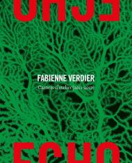 Écho. Fabienne Verdier. Carnets d'atelier (2011-2017). Ediz. a colori