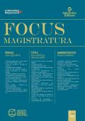 Focus magistratura. Concorso magistratura 2023: Penale, civile, amministrativo. Vol. 1