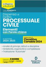 Dispensa di Procedura Civile. Aggiornata al Decreto Correttivo Cartabia D.Lgs. 31 ottobre 2024, n. 164