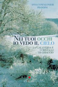 Nei tuoi occhi io vedo il cielo. La galaverna e i cristalli di ghiaccio