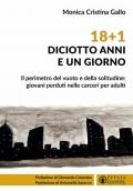 18+1. Diciotto anni e un giorno. Il perimetro del vuoto e della solitudine: giovani perduti nelle carceri per adulti