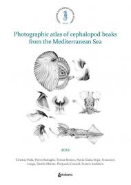 Photographic atlas of cephalopod beaks from the Mediterranean Sea