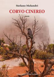 Corvo cinereo