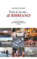 Non so se sai... di Bibbiano. La grande battaglia del popolo dei diritti umani in Italia