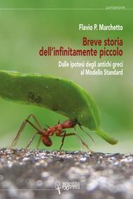 Breve storia dell'infinitamente piccolo. Vol. 1: Dalle ipotesi degli antichi greci al modello standard.