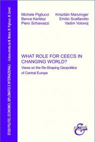 What role for CEECs in changing world? Views on the re-shaping geopolitics of Central Europe