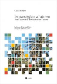 Tre passeggiate a Palermo. Storie e curiosità a braccetto con l'autore