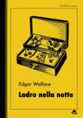 Ladro nella notte