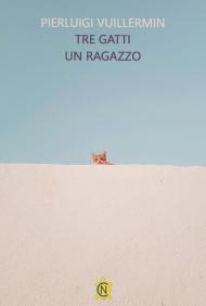 Tre gatti un ragazzo