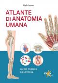 Atlante di anatomia umana. Guida pratica illustrata. Ediz. illustrata