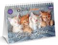 Gatti & relax. Calendario da tavolo 16 mesi