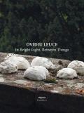 Ovidiu Leuce. In bright light, between things. Ediz. italiana e inglese