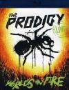 Prodigy (The) - Live - World's On Fire