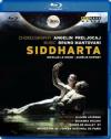 Siddharta