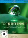 Forsenses II - Timber Lounge