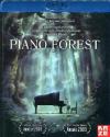 Piano Forest