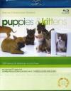 Puppies & Kittens (Special Collector's Edition)