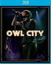Owl City - Live From Los Angeles