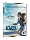 Indivisibili