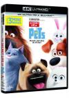 Pets: Vita Da Animali - Uhd+Bd St