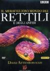 Meraviglioso Mondo Dei Rettili E Degli Anfibi (Il) (3 Dvd)