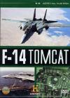 F-14 Tomcat