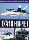 F/A 18 Hornet