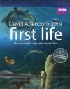 First Life - L'Origine Della Vita