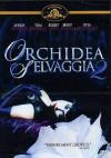 Orchidea Selvaggia 2